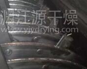 探究JYG空心桨叶干燥机的干燥过程
